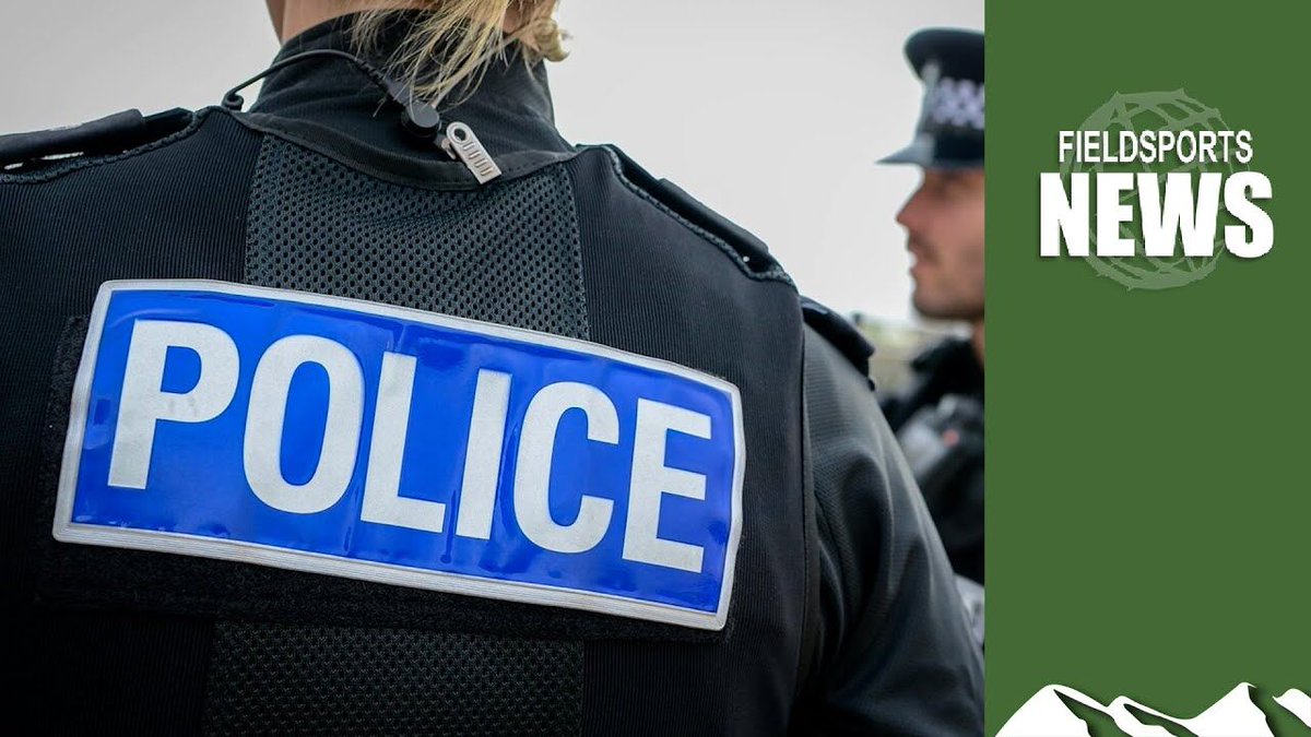 Fieldsports Channel tweet media