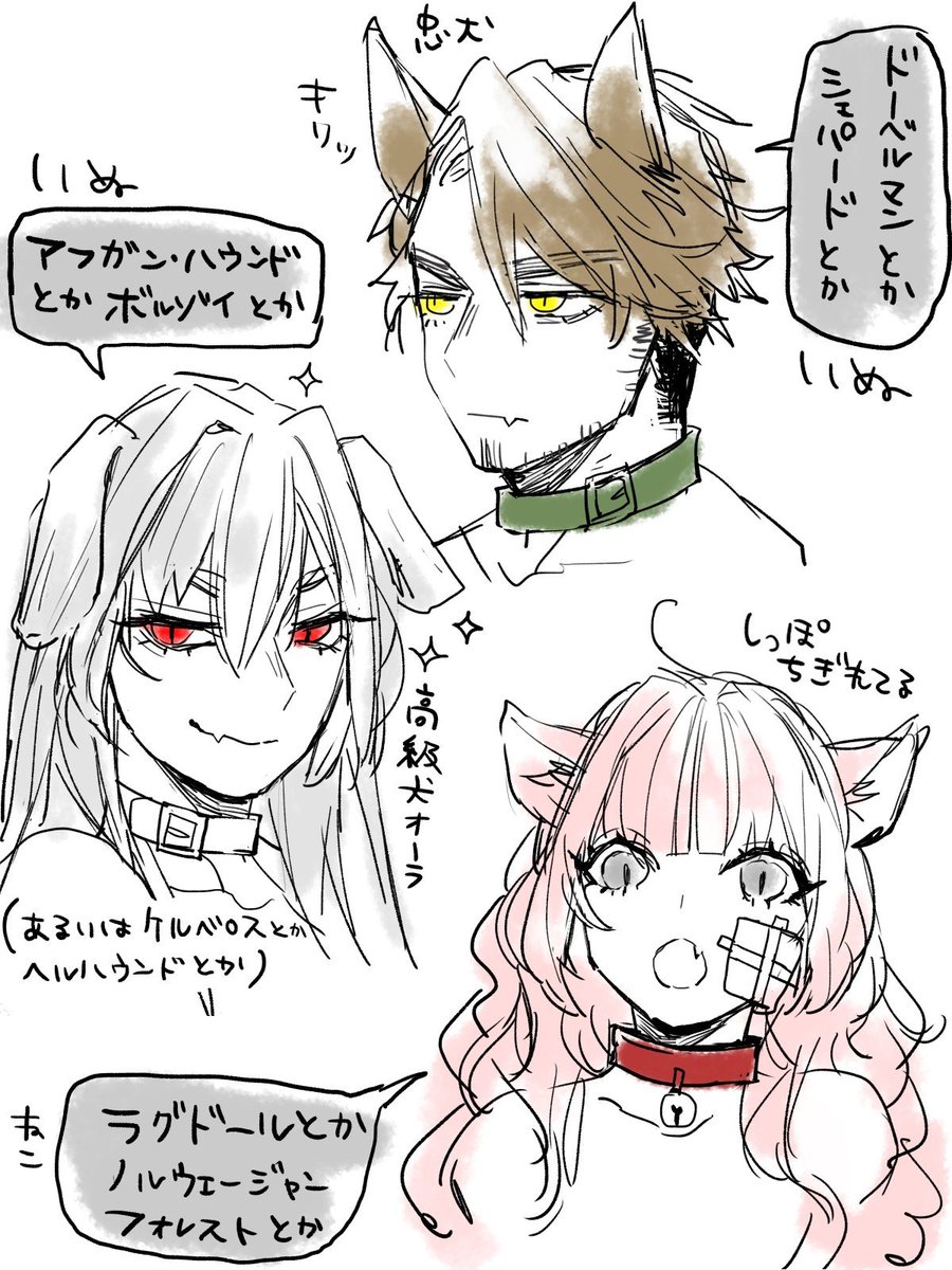 ねこの日イラストに触発されて自創作子にケモ耳つけてあそんでた
大型犬と猫がじゃれてる動画とか永遠と見てしまうので…かわいいよね…☺ 