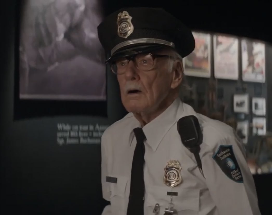 стэн ли марвел. Stan lee камео. стэнли в фильмах марвел. стэн ли камео в фильмах. собака стена ли.