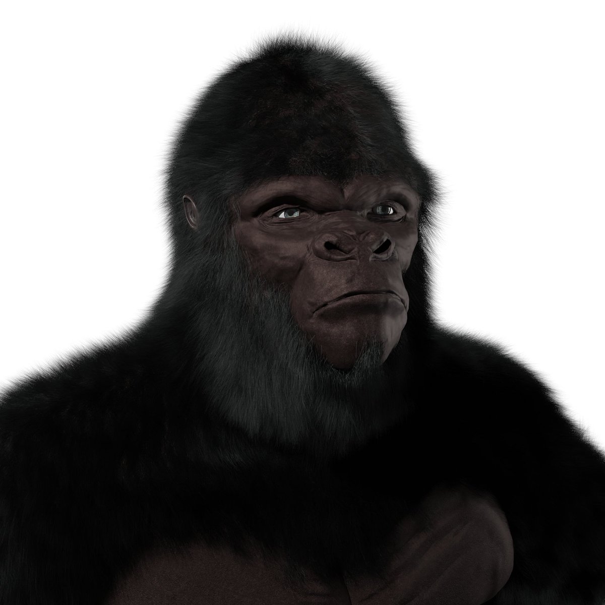 SILVERBACK BASE 🦍
This is our NFT Silverback base that's gonna be decorated with our 50 unique traits 🔥

❗️Our 1st White List Giveaway ends today in exactly 5 hours. So don't forget to participate to become a member of the exclusive SunIce Silverback Circle - party party party!