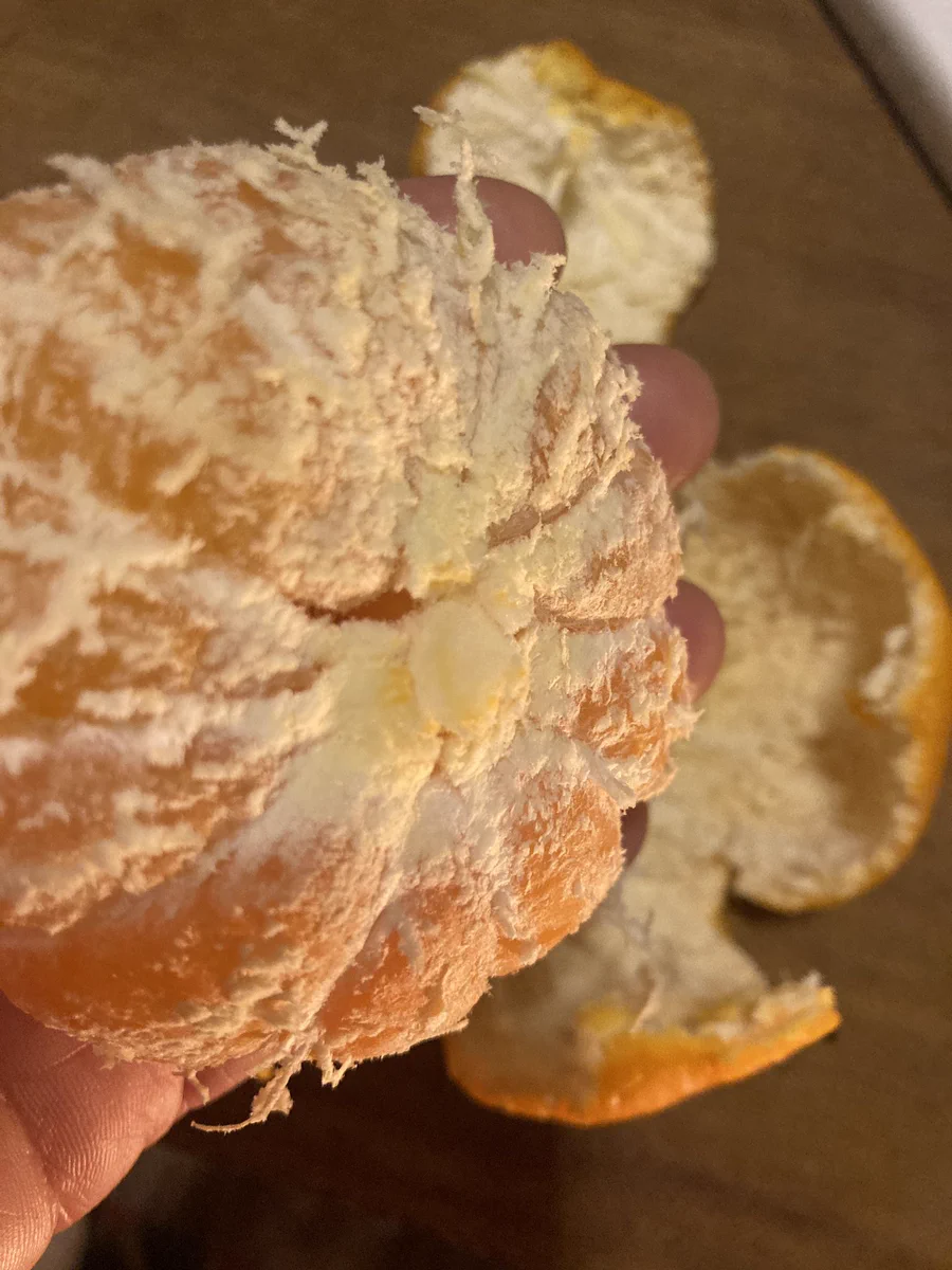 みかんの白い筋は栄養の通り道！とらずに食べよう！！