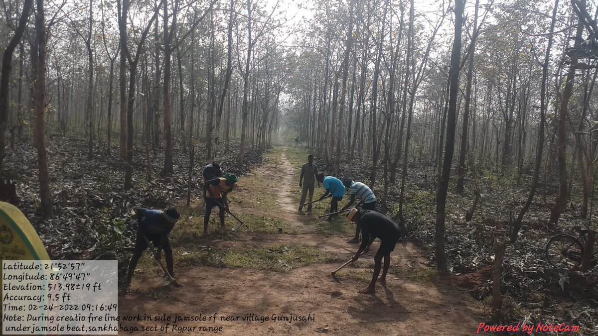 BaripadaT's tweet image. Fire line maintenance in Jamsole #Forest area. Before and after photos of a Fire line. This will reduce the impact of Forest Fire in the event of Fire.
@pccfodisha @PCCFWL_Odisha @SimilipalNorth @Similipal_South @CircleRccf @DM_Mayurbhanj
