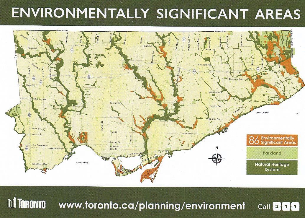 treebeing's tweet photo. @twieditz @TorontoStar "...expansion doesn’t need to cost us parkland, green space, and wildlife habitat"
TO is losing green space&amp;wildlife habitat by thousands cuts. Mx/transit wipes nature with bold gestures but intensification does it by adding thousands more pop, encroaching, unsustainable use. https://t.co/45SLp1B4sf