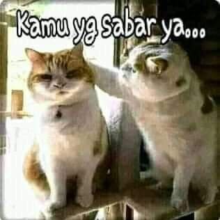 Wiwinwinna5's tweet photo. #FotoProfilBaru https://t.co/Ox6fnnMgR8