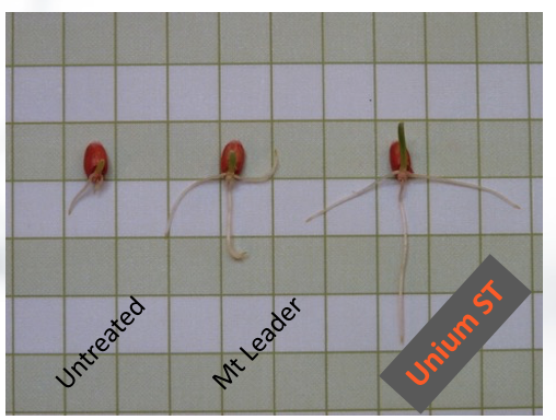 uniumbioscience's tweet photo. Above ground they appear similar but beneath the surface theres a world of difference #rootlength #rootbiomass and importantly #rootactivity ~ exudation to feed biology is very different which has season long impacts on crop growth. #biologicals #biostimulants #seedtreatment https://t.co/I6UGIxX80a