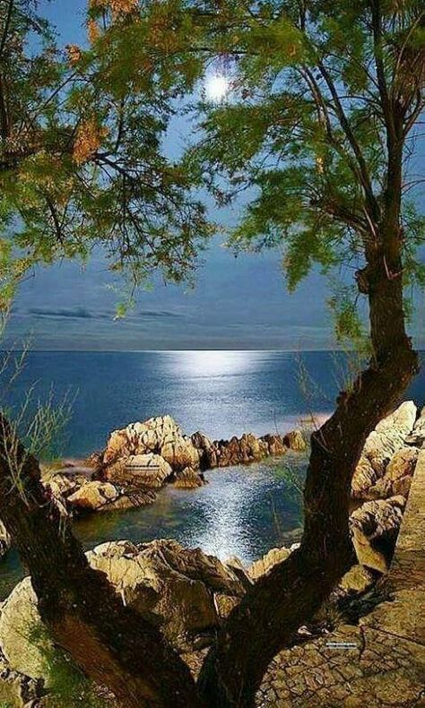 Best pics (@bestpics1969) on Twitter photo 