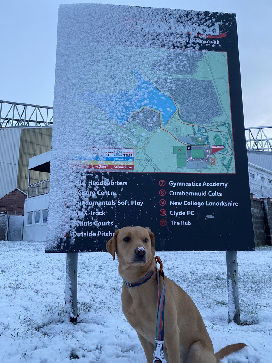 Susie__Benson's tweet photo. A cold one this morning! Fr anyone travelling to join the #SLNG Regional event this morning at Broadwood please take care and we’ll see you soon! #fudgelovessnow #noteveryonedoes https://t.co/pK8k3V75bS