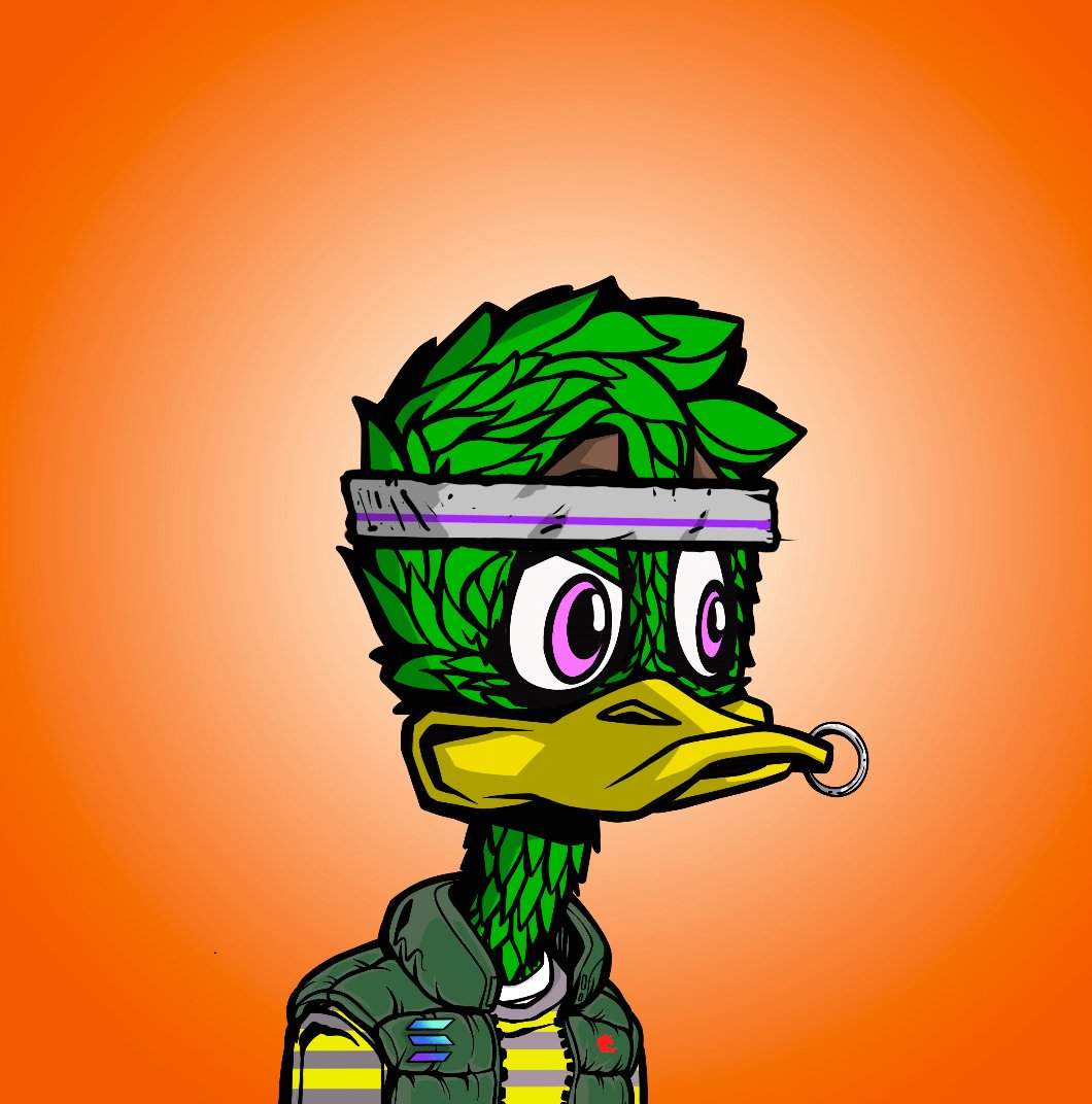 cryptor3d's tweet photo. My new @DazedDucks !! #ddmc #dazedducks #quack #SolanaNFTs https://t.co/ClqxsIcuX1