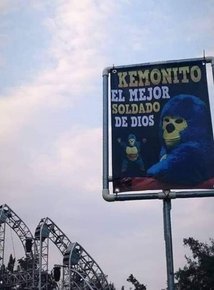 Monk in the jungle tweet media