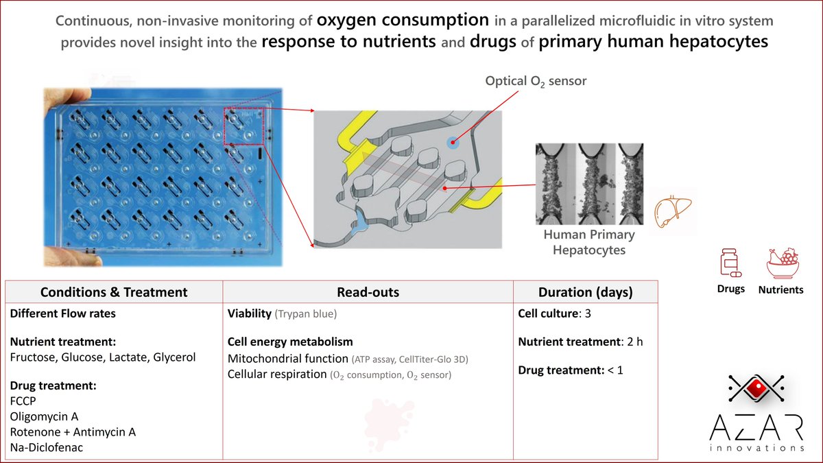 Hossein_EA's tweet photo. A nice collaboration between U. of Tübingen, Leipzig University and TU Graz.
Know more at https://t.co/xrGrQ19bzp
Link to paper: https://t.co/NWXp32xtms
#OrganOnChip #TissueChip #MicroPhysciologicalSystem #Nutrients #LiverChip #DrugDevelopment #AZARInnovations https://t.co/IcGr6QZRnl