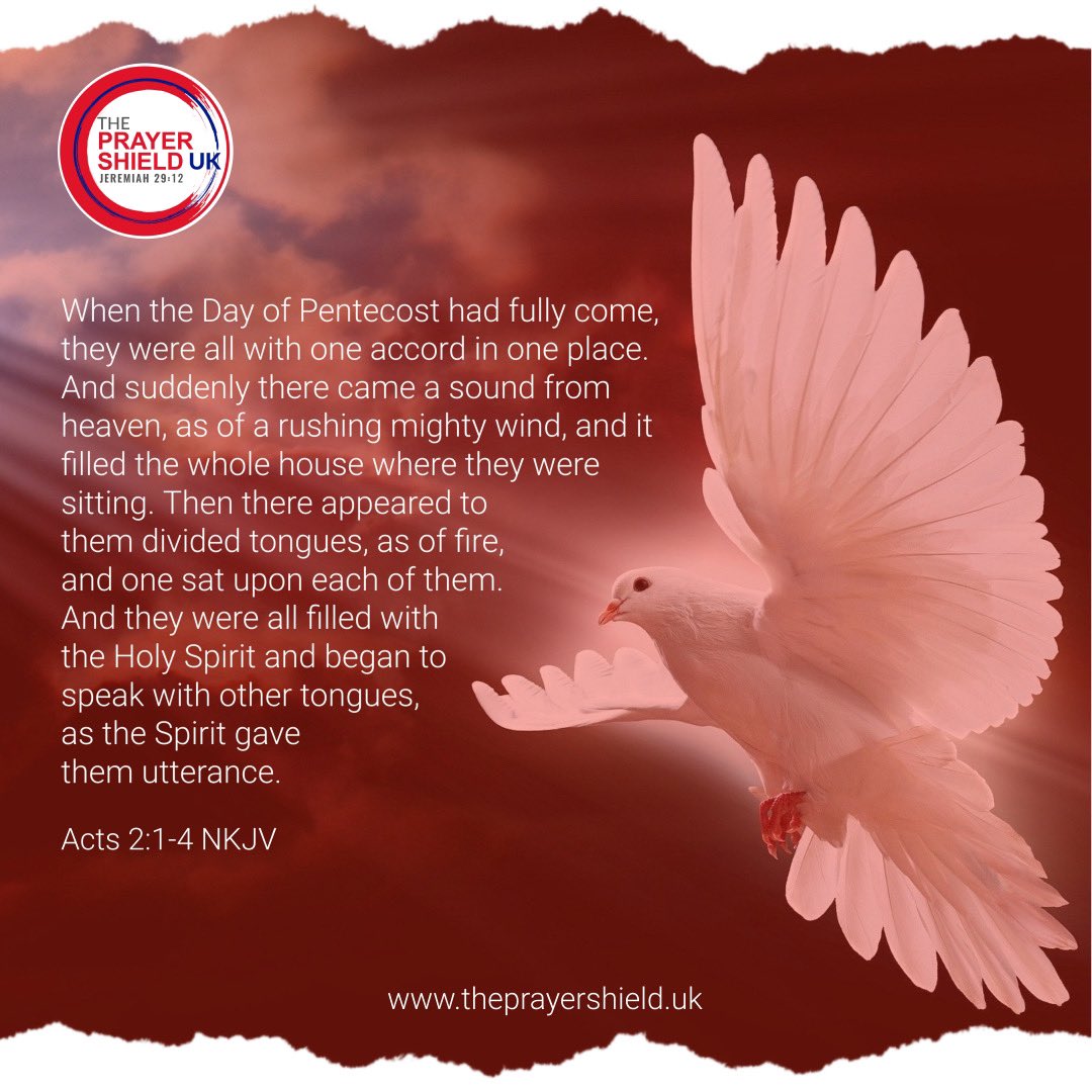 ThePrayerShieldUK tweet media