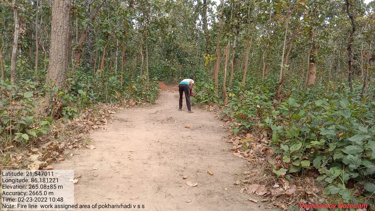 KaranjiaT's tweet image. #Fire line 
#Protect Similipal Landscape 
#Ready with Preparedness @pccfodisha @PCCFWL_Odisha @CircleRccf @Similipal_South @SimilipalNorth @BaripadaT