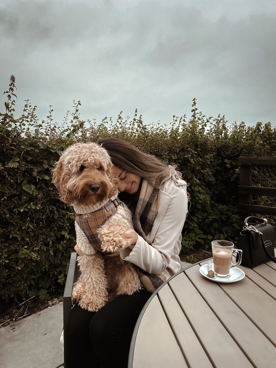 Accounts I follow are actually showing up on my timeline.. what is this sorcery?! Instagram, do better! #twitterdogcommunity #dogsoftwitter #dogsofinstagram