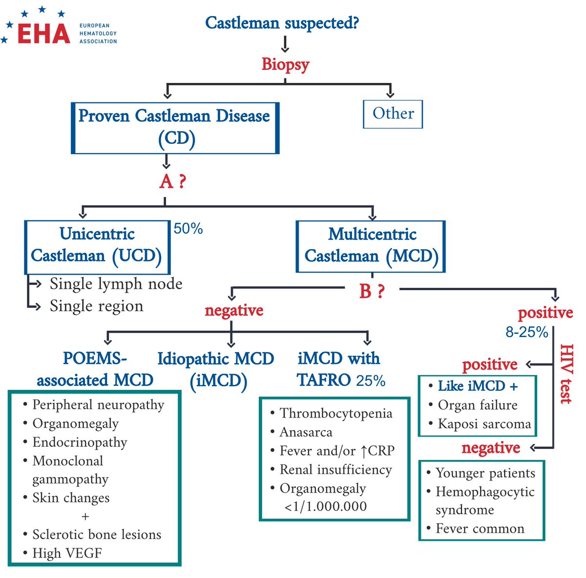 Today’s #EHA 💡#ThinkingThursday clinical schema focuses on a rare hematological condition called #CastlemanDisease. Challenge your knowledge on this #raredisease by trying to guess what A and B are 👇.