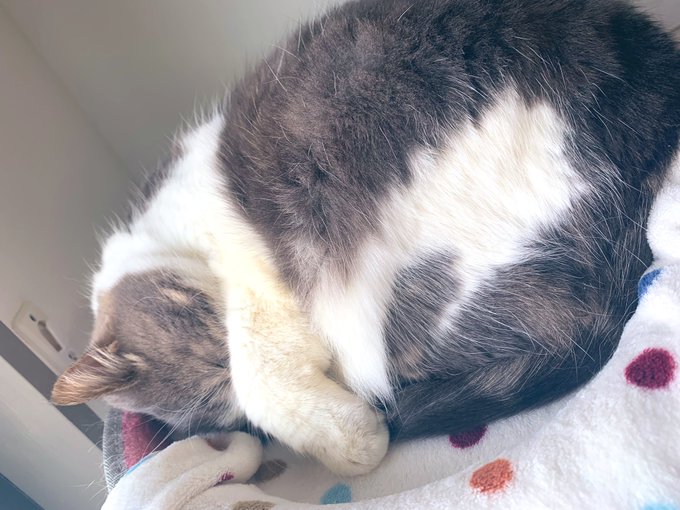 あと文字入れと仕上げ〜 