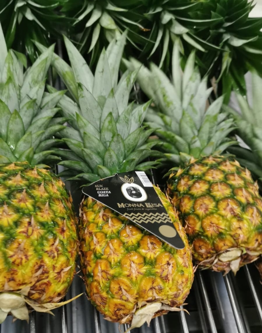 hispalco_es's tweet photo. Nuestras GOLD son elegidas a través de un minucioso proceso de selección, todas nuestras piñas son una auténtica maravilla par los sentidos.
All of our pineapples have been selected through an exhaustive process.
#pineapple #goldenpineapple #premiumfruits #hispalco https://t.co/FsGl4hfQGe