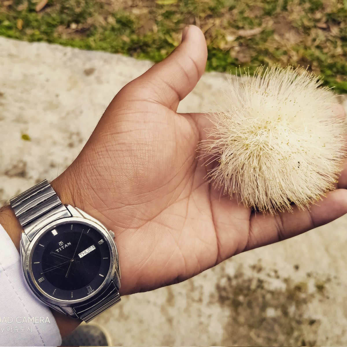 Bloom like a flower 🌹🌺🌹