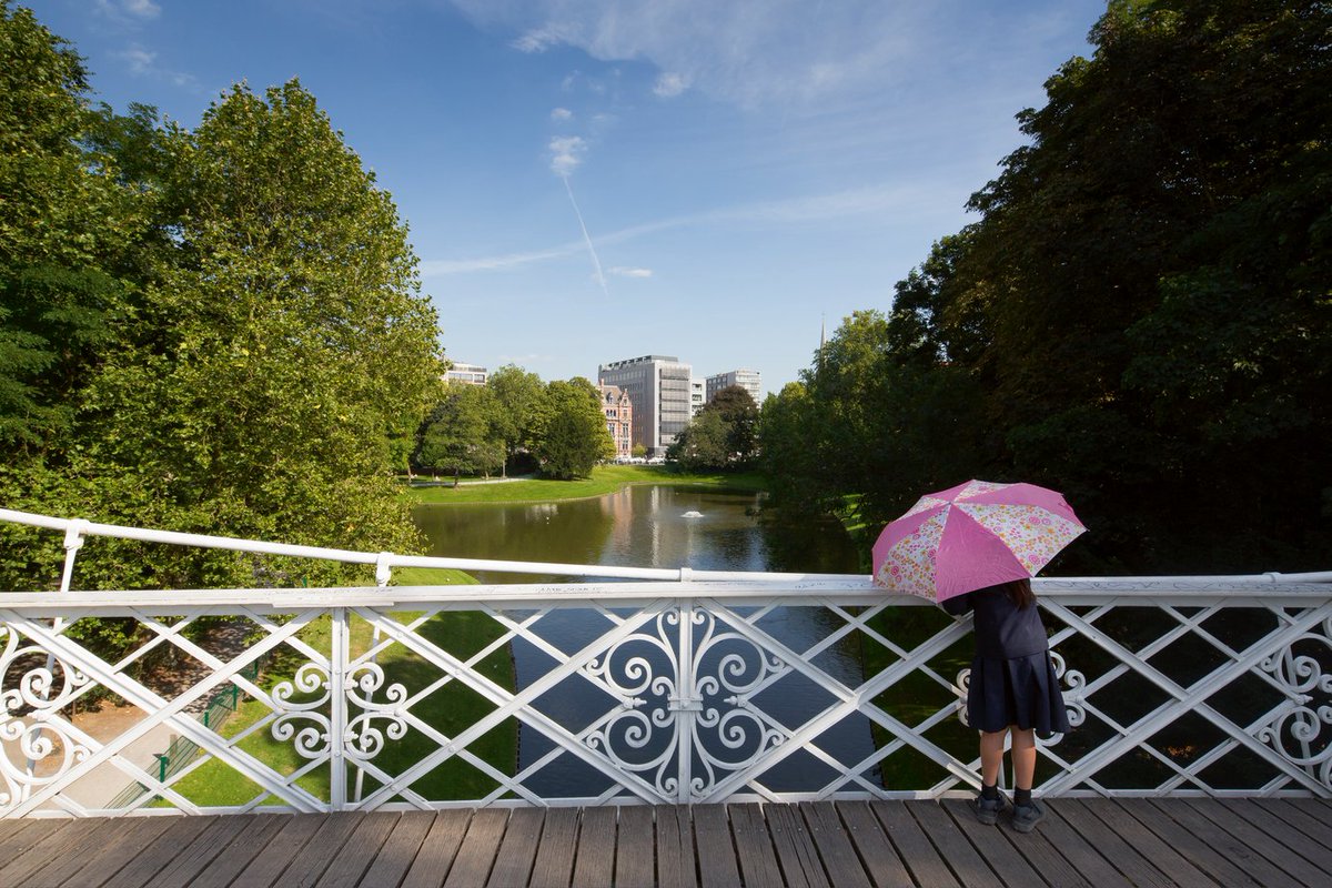 Stad Antwerpen tweet media