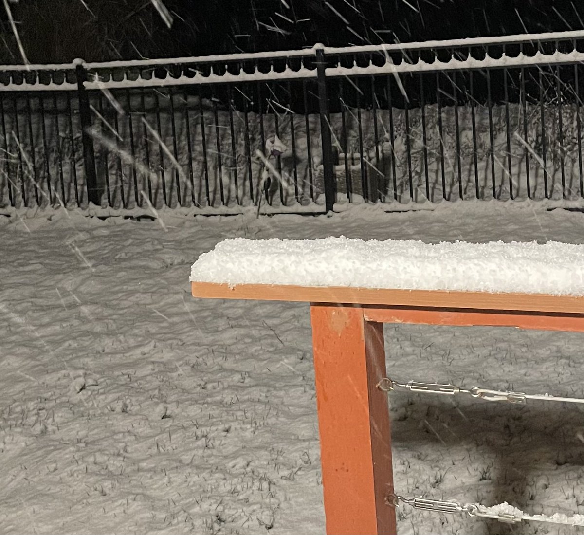 Gianugo Rabellino 🇺🇦 tweet media