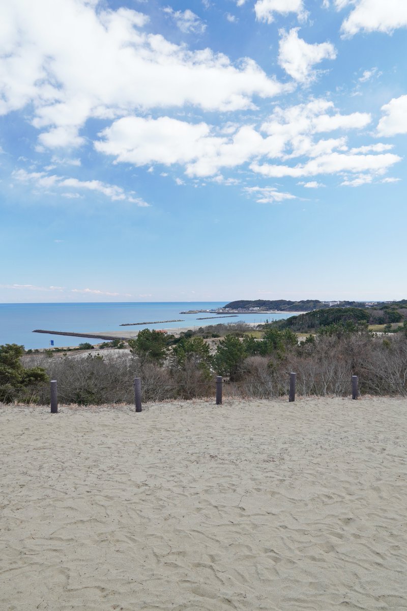 砂丘エリアの”海の見える丘”からの見晴らしが良くなっています。阿字ヶ