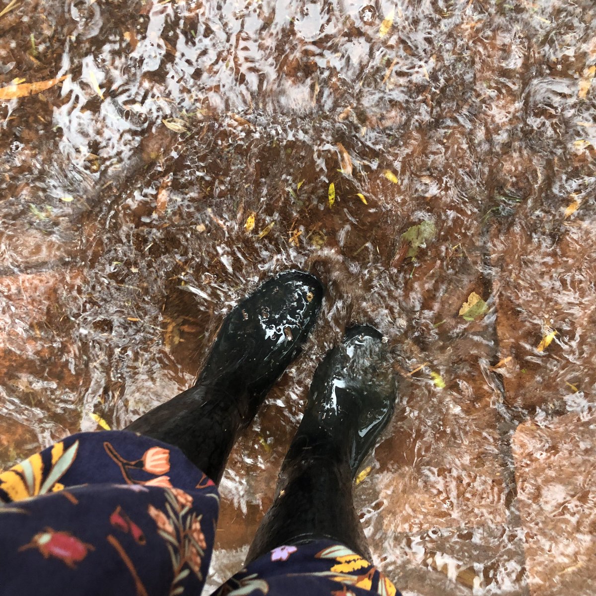 Sometimes my “office wear” looks like this 💦 #thenatureschool #gumboots