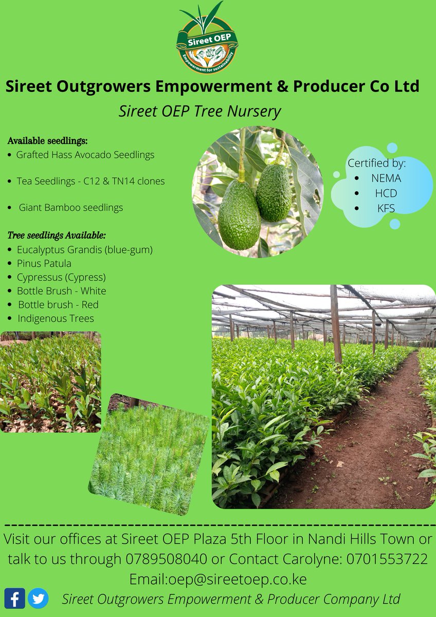 Sireet Outgrowers Empowerment & Producer Co Ltd tweet media