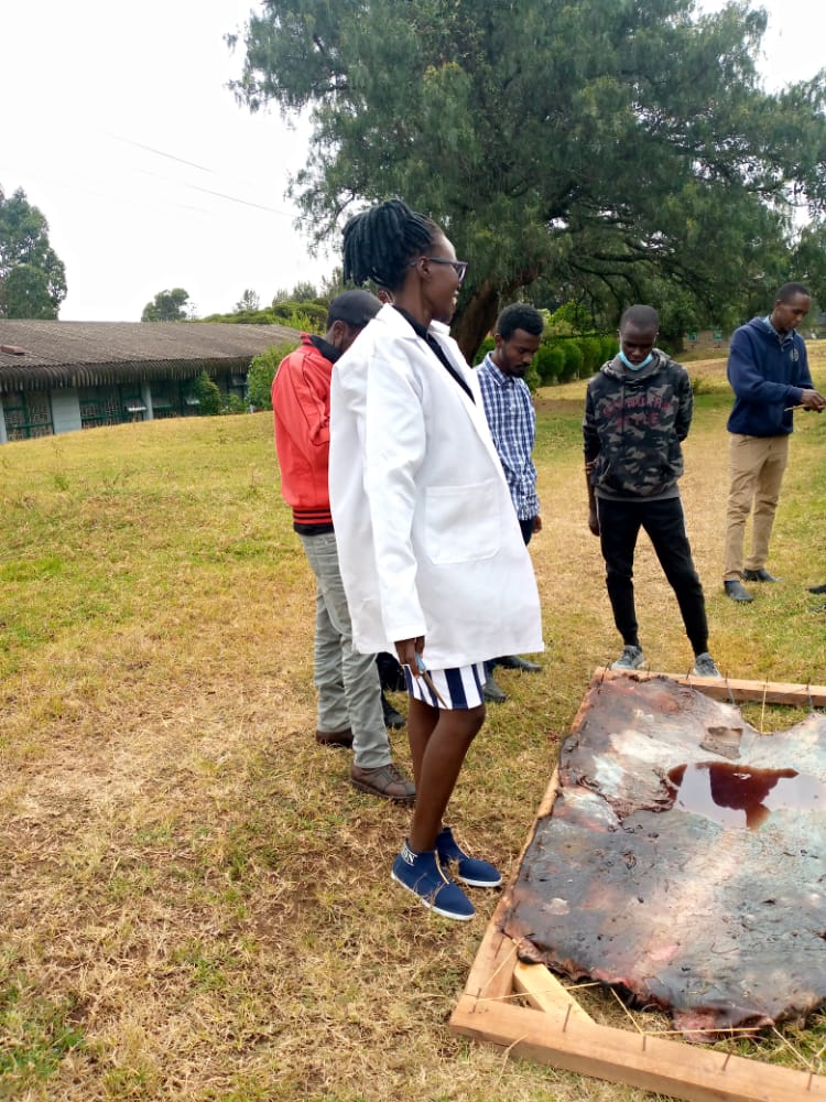 Francisca Nalimo tweet media