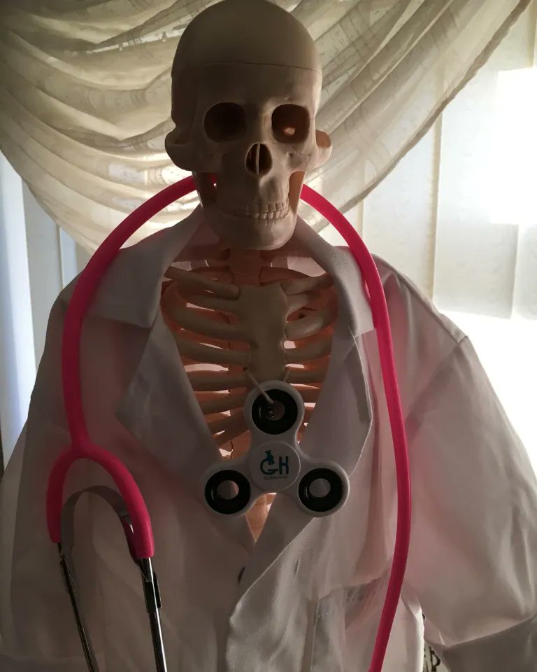 Ghscientific's tweet photo. So how long did you say it took you to finish medical school?
#ghscientific #scicomm #stemgheek #medicine https://t.co/sRqStGILpz