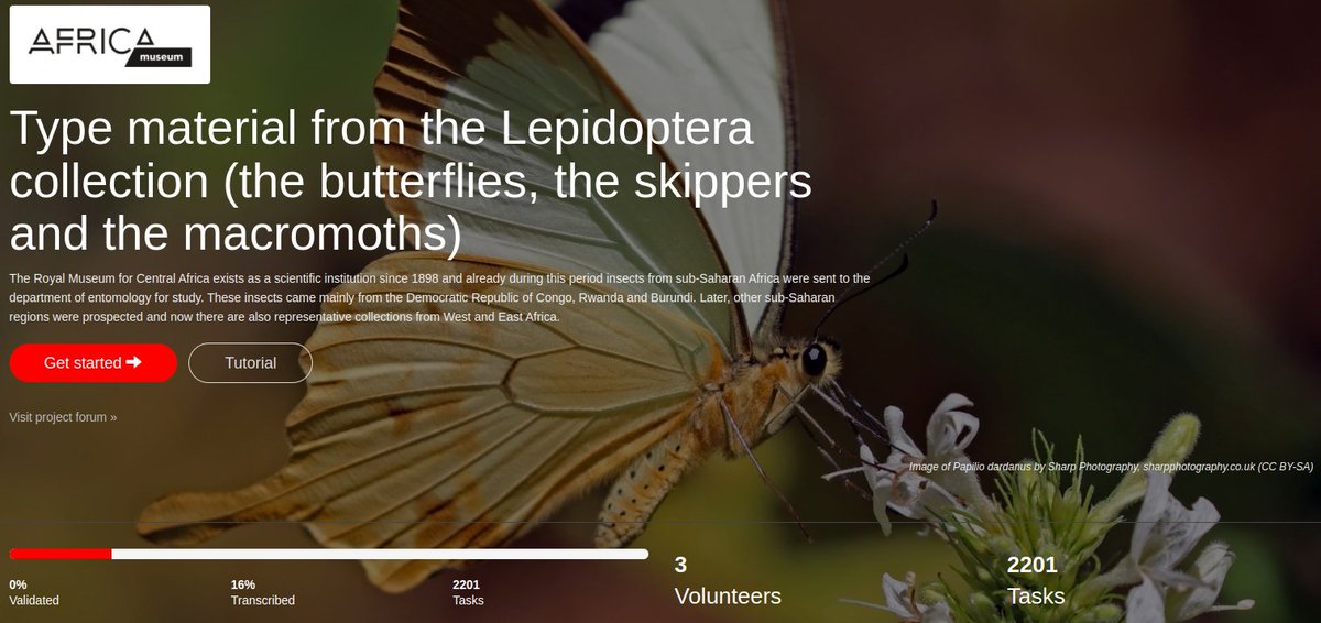 DiSSCo Flanders (@disscoflanders) on Twitter photo Do you like to help scientists discover what is inside the collections? DiSSCo Flanders is facilitating this through the <a href="/DoeDatbe/">DoeDat</a> platform. Interested in the Lepidoptera collection of <a href="/africamuseumbe/">The AfricaMuseum</a> ? Please check it out! bit.ly/3p82hLW #CitizenScience #naturalhistory Do you like to help scientists discover what is inside the collections? DiSSCo Flanders is facilitating this through the <a href="/DoeDatbe/">DoeDat</a> platform. Interested in the Lepidoptera collection of <a href="/africamuseumbe/">The AfricaMuseum</a> ? Please check it out! bit.ly/3p82hLW #CitizenScience #naturalhistory