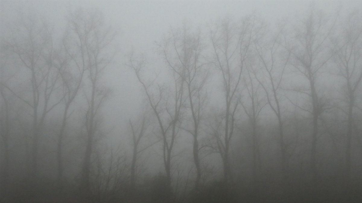 InacheverProjet's tweet photo. [JOURNAL DE BORD]
"L’entrée de la ville était plutôt angoissante; un épais brouillard cachait une grosse et longue allée, elle-même protégeant une ville vide d’apparence. J’avais l’impression d’être dans un autre monde. La nature était partie, la civilisation aussi."
L.H https://t.co/SWNzzfBPHv