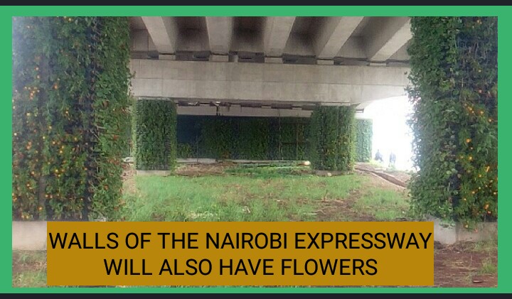 joseph_waraba's tweet photo. @TheStarBreaking @TheStarKenya Watch here👉 https://t.co/KNUlJKY5Yc https://t.co/2SZk0w2g2R