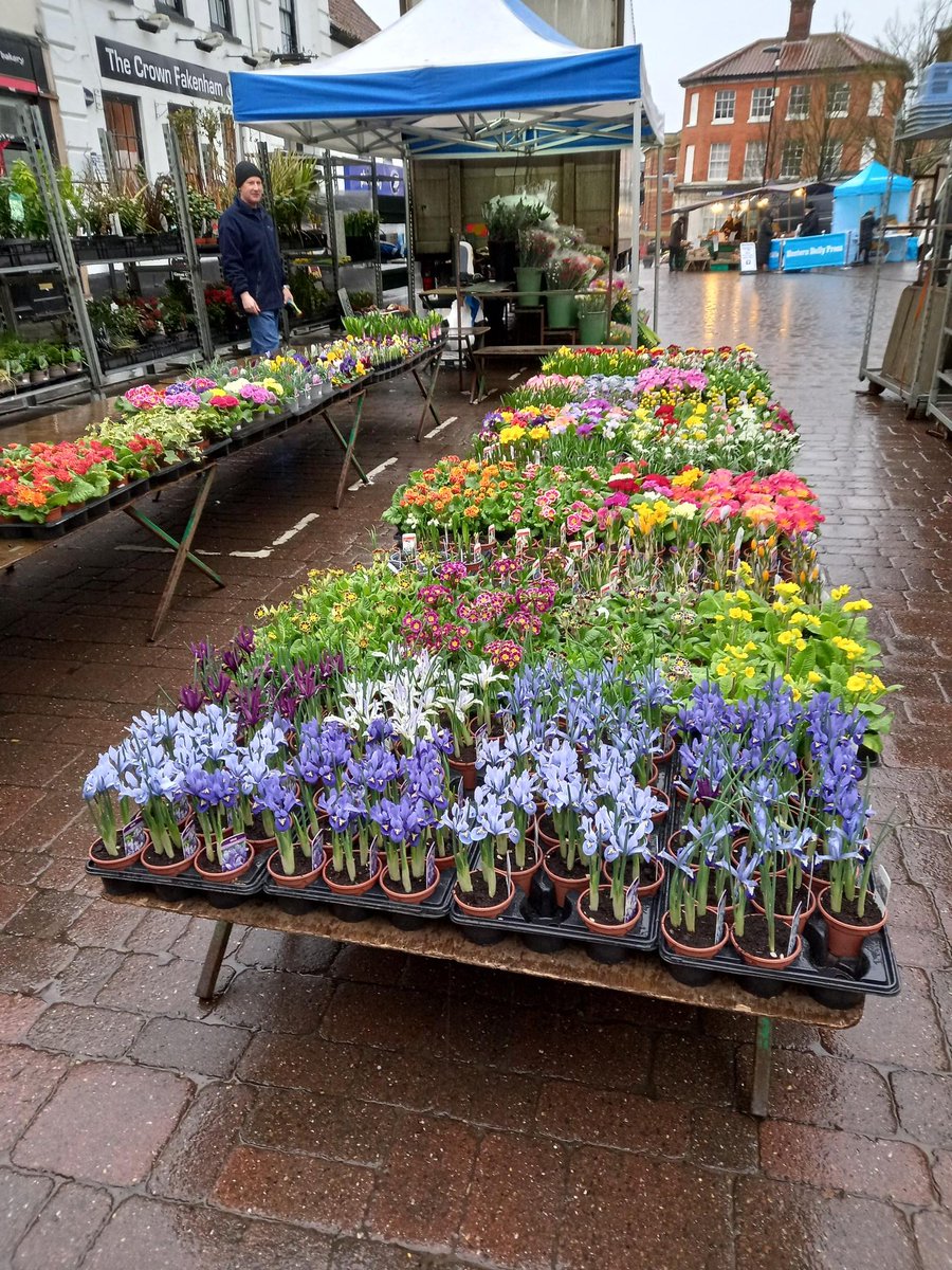Fakenham Thursday Market today. It may be wet, but there is always a warm welcome from our hardy stallholders.  A touch of spring and better weather to come.