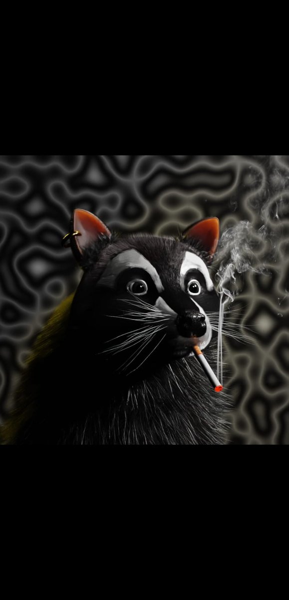 RaccoonsRockin's tweet photo. Hello world, did you know The greatest danger does not come from their only predator, the owl, but from road traffic, because many raccoons are run over by cars at night, take care..

#NFTs #NFTs #NFTCommunity #3DNFT #NFTartworks #NFTCollection #NFTProject #nftcollector https://t.co/wFRX66c1jX