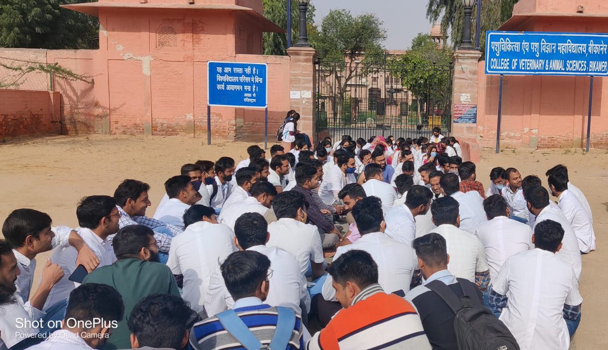 DrCPSheela07's tweet photo. कल RAJUVAS विश्वविद्यालय के Vet Doctors ने Internship व PG Stipend बढ़ाने के लिए धरना प्रदर्शन किया। @KatariaLalchand जी ने 3 दिन का वक्त मांगा है, तो जब तक स्टाइपेंड बढ़ नही जाता रुकेंगे नही।

हम आतिशे सोज़ां में भी हक़ बात कहेंगे,
हम ज़िन्दा थे,हम ज़िन्दा हैं,हम ज़िन्दा रहेंगे। https://t.co/XpS8GJ8MMW
