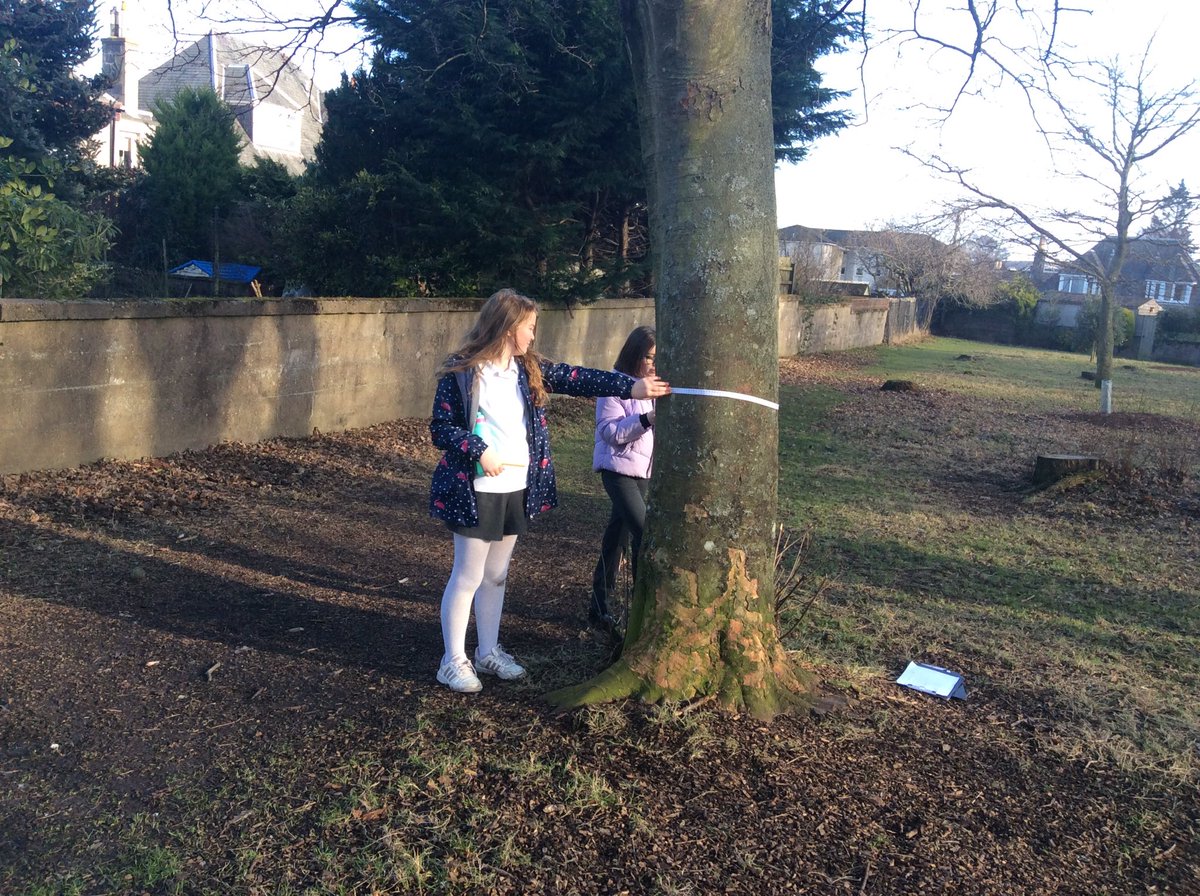 Our Outdoor Learning challenge this week was to measure specific natural objects and find other objects with specific measurements. there are some big trees in the Woodies! 🍁🍂🌳<a href="/SchoolBroomhill/">BroomhillSchool</a>