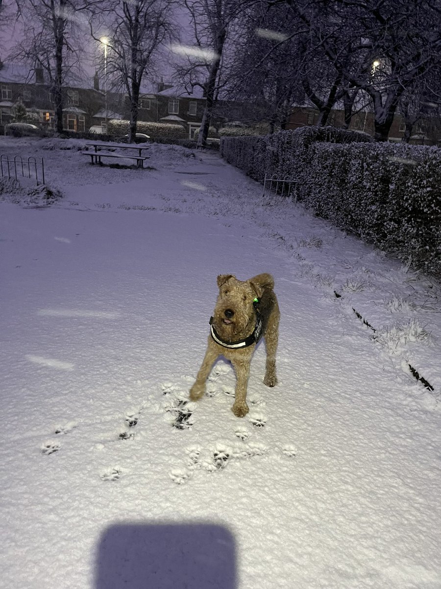 DundasSteph's tweet photo. Lovely morning for an early run https://t.co/BOd1AgKQD0