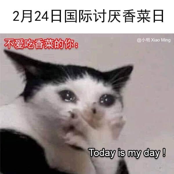 iamjaredng's tweet photo. “香”这个字根本不应该在“香菜”里 https://t.co/O79azmP2G6