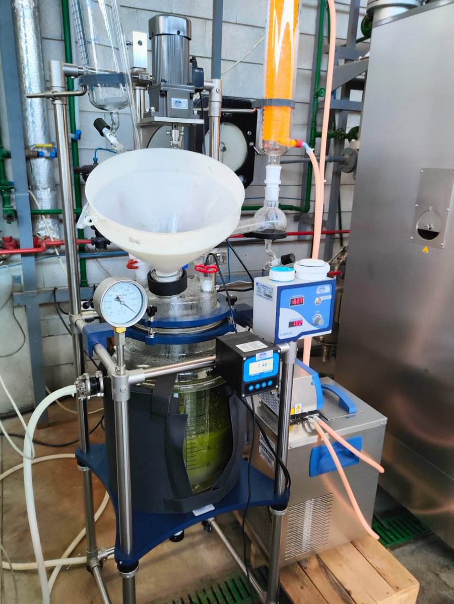 Optimizing the pectin extraction process from watermelon rind for food applications. Thanks to @GVAavi #circulareconomy #projectVALUOS #valorizarion #foodwaste <a href="/iata_csic/">IATA CSIC</a>