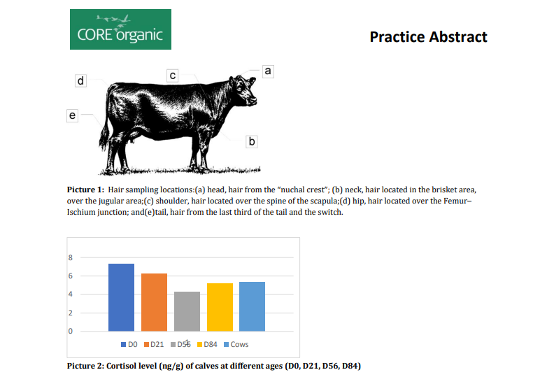 farm_knowledge's tweet photo. Hair #cortisol as a practical method for measuring chronic stress in #cattle? - Latest tool by #NORSOK
📎 Practice abstract: https://t.co/XtegTG1Vwq
#calves #animalwelfare #animalhealth https://t.co/FvXKSgI8OV