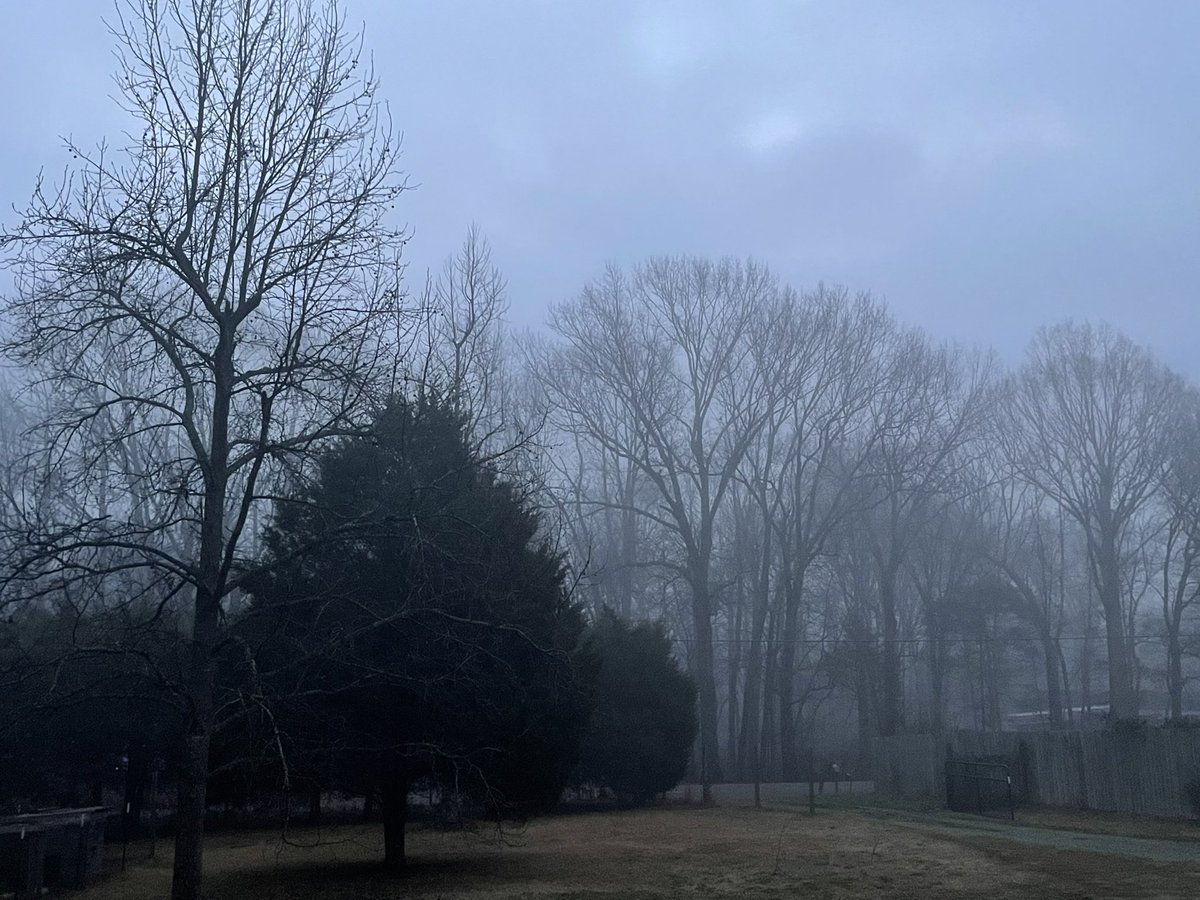 Flying Buddha🦅 tweet media