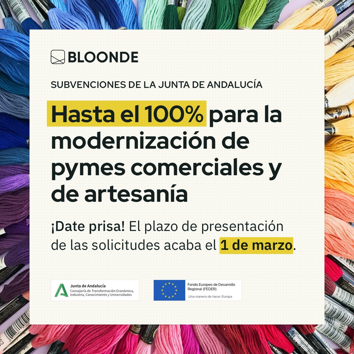 Bloonde tweet media