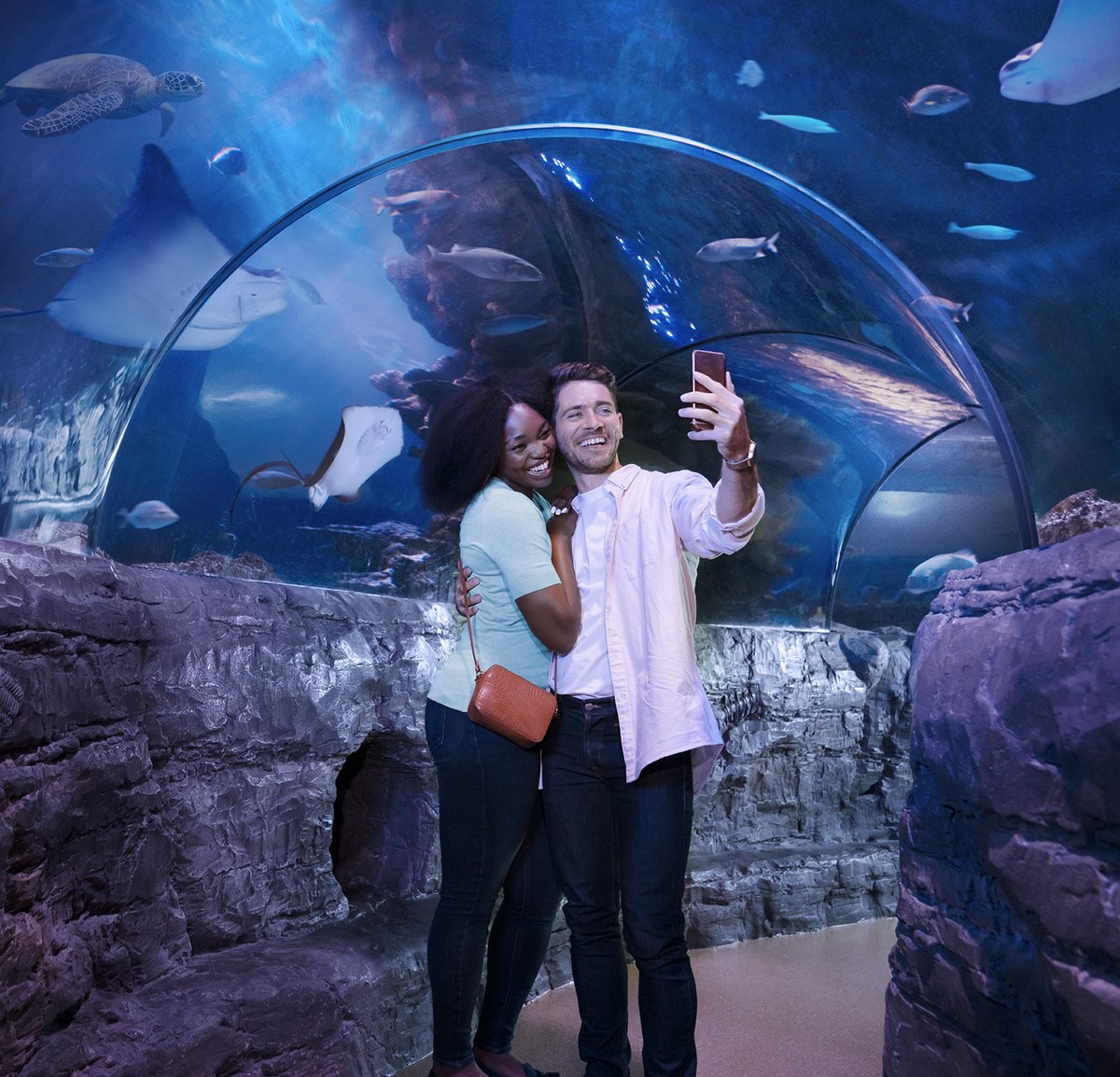 london_aquarium's tweet photo. Fancy a post-valentines date under the sea?! 💙
Home to over 500 species in 14 themed zones, there is SO much to SEA at SEA LIFE London Aquarium! 🐟 🐡
🎟 Book your tickets today! https://t.co/e8xE89VgaE
#ThingsToDoInLondon #LondonDate #DateNight #SeaLifeLondonAquarium #SLLA https://t.co/kgIOQD8Vov