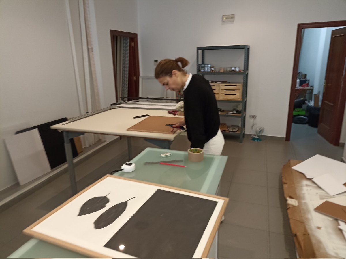 Augusto Ariza tweet media