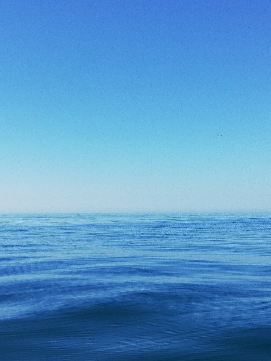 MAD_MARCEL_'s tweet photo. GM! 

"Find light in the beautiful sea, I choose to be happy."
(shine bright like a diamond)🌞

#sealovers
#seascape #waterphotography
#NFTs #nftart 
#NaturePhotography https://t.co/n2L8ZCmz3N
