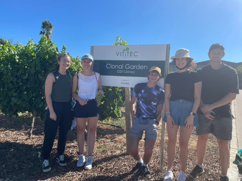 Vinpro_za's tweet photo. THE NEXT GENERATION
It was great seeing Dr Erna Blancquaert &amp; 2nd year students from @StellenboschUni @DVO_SU exploring different #wine grape varieties in @VititecNursery's demo vineyards at Vinpro's Paarl office yesterday as part of their ampelography studies.🌱🍷
@Vinemonster83 https://t.co/Usva768Xjr
