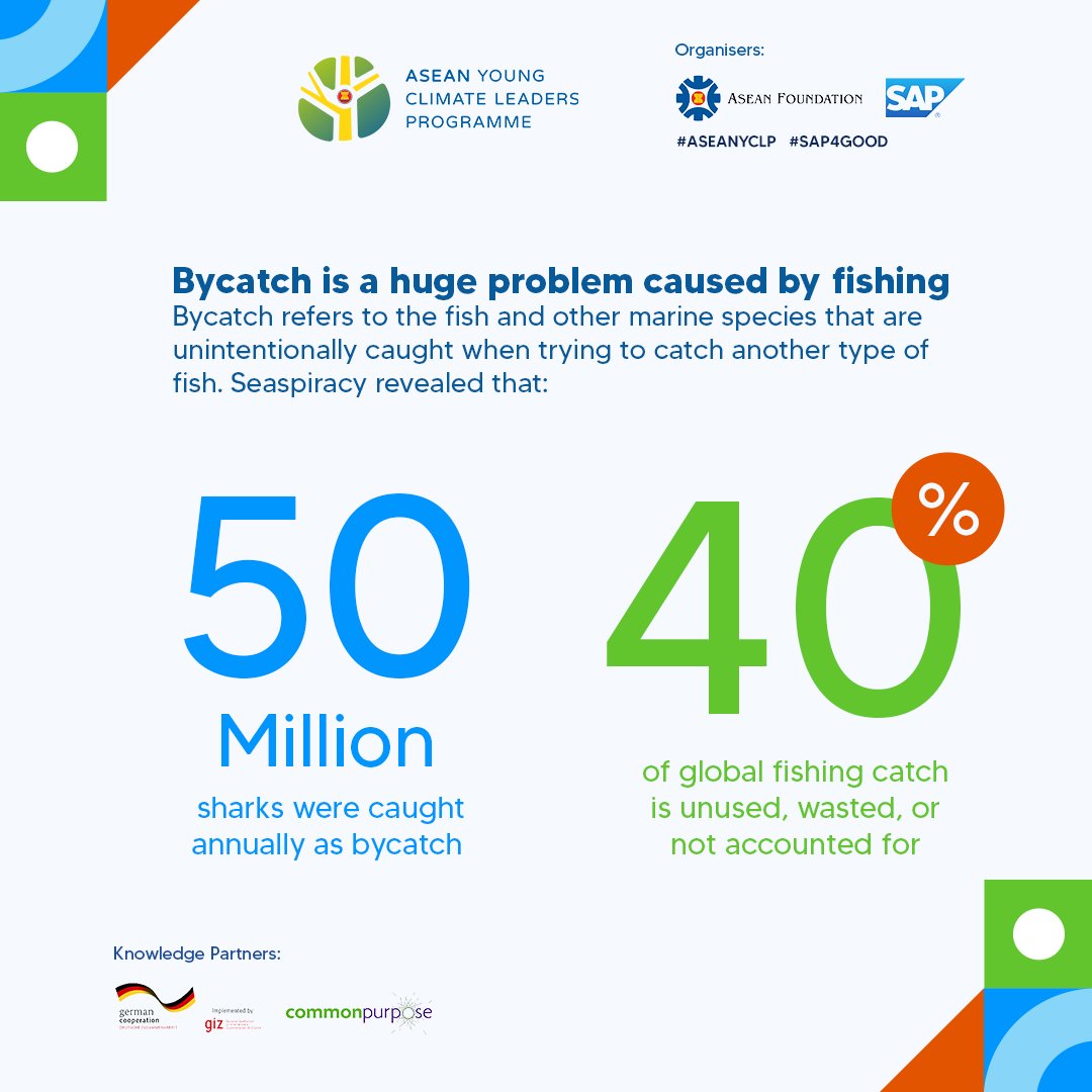 aseanfoundation's tweet photo. The documentary film Seaspiracy revealed some surprising facts on the impacts of the fishing industry on marine life and environment.

What are some of the things we can learn? Look at the visual to find out!

#WeAreASEAN #BeASEAN #ASEANYCLP https://t.co/1qzpVdteYp