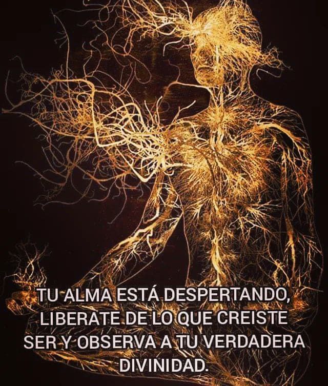 Tu alma está despertando, 
libérate de lo que creíste ser
Y observa tu verdadera divinidad.