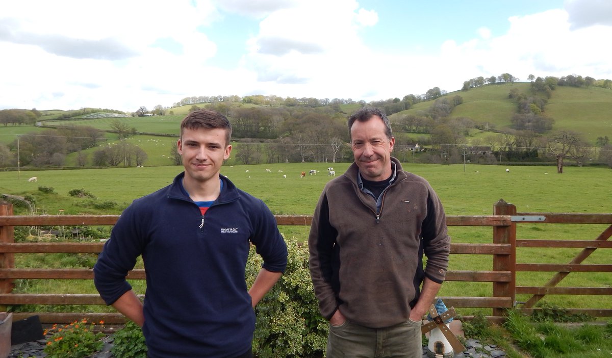 HybuCigCymru's tweet photo. Wanted! Farmers from Wales to nominate top-performing rams for the next phase of the @RamCompare project:
https://t.co/I3BSUcAySj https://t.co/RWoxNssCRF