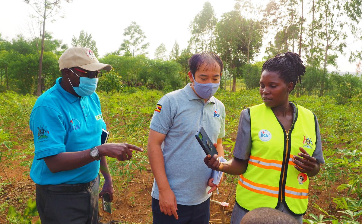 JicaUganda's tweet photo. "Through the #CESproject by @JicaUganda and @ACHEST1, we received equipment in addition to the monthly facilitation that has motivated us to work well".
Ms. Amojong Christine, VHT, Masafu Sub-county.

📌Masafu Sub-county in Busia has 89 #VillageHealthTeams.
#CommunityHealth https://t.co/qfUFODlsXu
