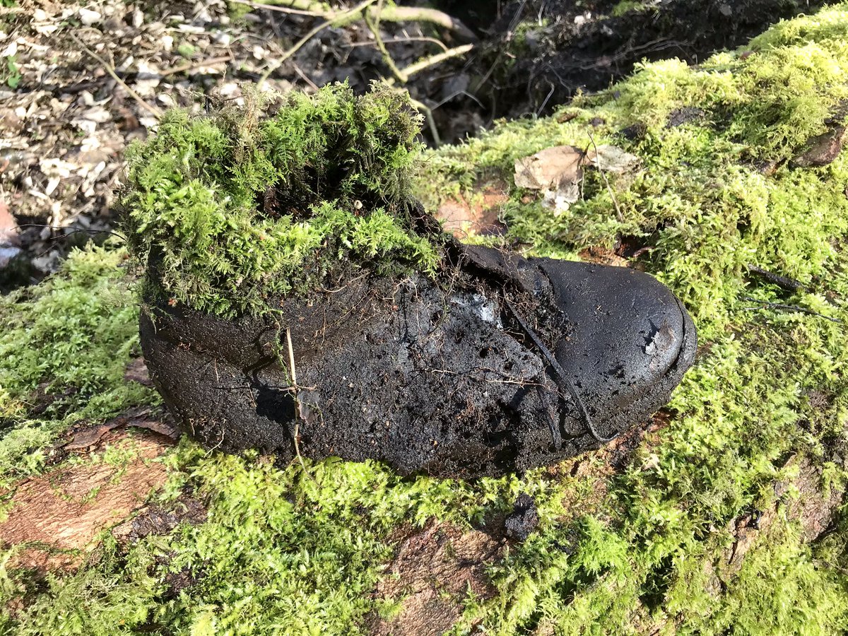 coal_legacies's tweet photo. What the #colliers wore on their feet, a single hob-nailed boot with surviving leather laces slowly returning to nature Sheriffyards Colliery, #GartmornDam (1905-21) The scattering of old Co-op bottles from the period also reveals a liking for still lemonade #coal #miningheritage https://t.co/prmjP9bBFC